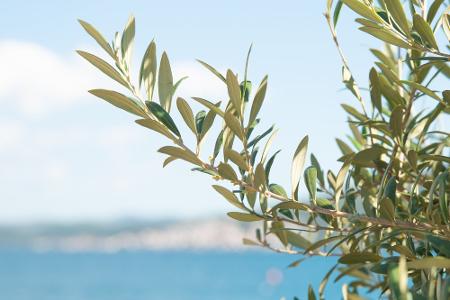 Solento, Italien