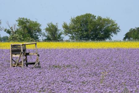 Die Bilder des Tages