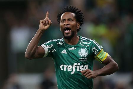 Zé Roberto