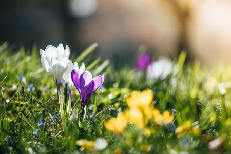 Beginn der Saison