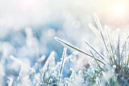 Nur an frostfreien Tagen mähen