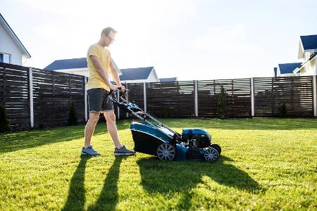 Tipps für ein sattes Grün