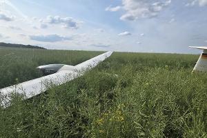 Notlandung eines Segelflugzeuges endete glimpflich