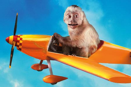 Akiko, der fliegende Affe