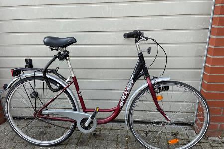 Pegasus-Damenfahrrad Pegasus-Damenfahrrad