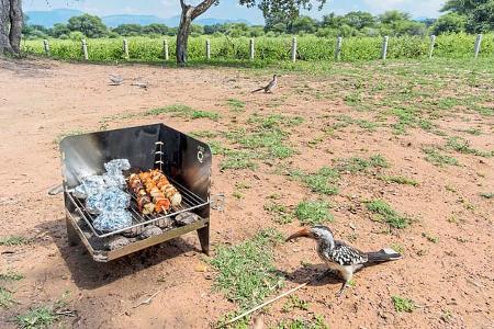 Camping-Grill Fire-Q im Praxistest Camping-Grill Fire-Q im Praxistest