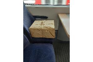 Herrenloses Paket sorgte für Einsatzmaßnahmen der Bundespolizei am Bahnhof Altona