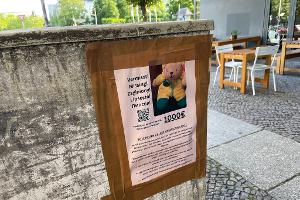 Nach Teddybär-Diebstahl in Berlin noch keine heiße Spur