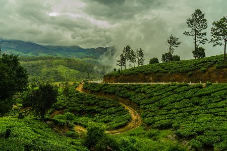 Monsun-Regen in Indien