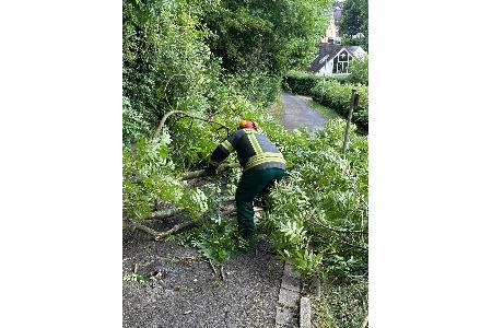 Arbeiten mit einer Kettensäge an dem Baum in Volmarstein Arbeiten mit einer Kettensäge an dem Baum in Volmarstein