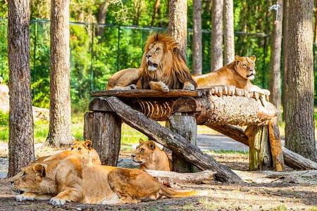 Serengeti-Park Hodenhagen