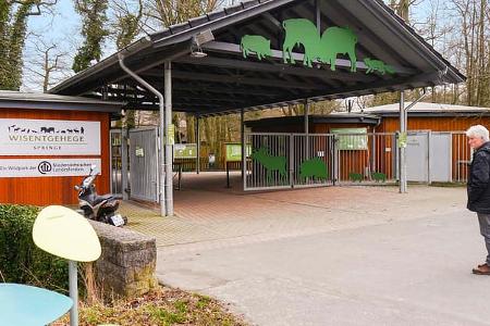 Wisentgehege Springe