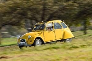 Diese 12 Oldtimer sollten Sie gefahren haben