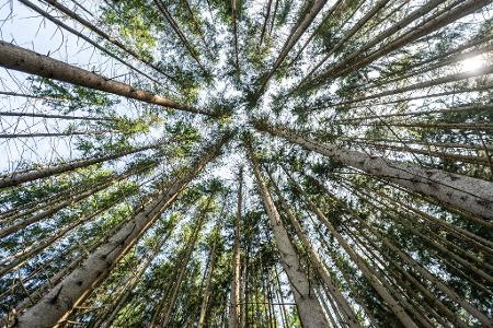 Die Bilder des Tages