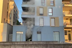 Racuhentwicklung am Phönixsee - Schnelles Eingreifen verhindert Brandausbreitung