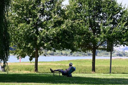 Ein Mann hat sich ein schattiges Plätzchen am Ufer des Rheins in Leverkusen gesucht. (Archivbild) Ein Mann hat sich ein schattiges Plätzchen am Ufer des Rheins in Leverkusen gesucht. (Archivbild)