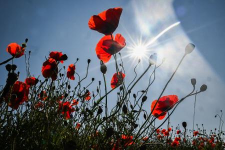Die Bilder des Tages