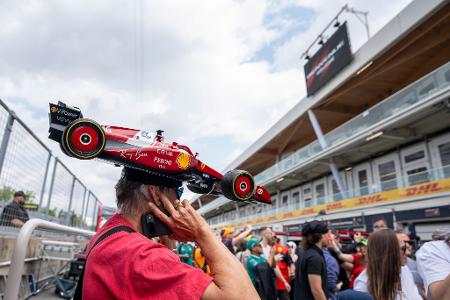 Die Bilder des Tages