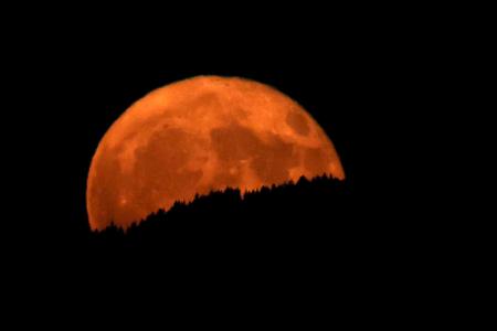 Der sogenannte Erdbeermond geht über einem Bergwald in Bayern auf.