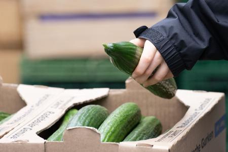 Nahrungsmittel haben sich erneut überdurchschnittlich verteuert