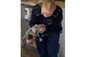 NMS - Tierische "Fundsache" bei der Bundespolizei