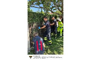 Älterer Herr zwischen Hecke und Gartenzaun eingeklemmt (Pasing)