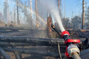 Zweite Folgemeldung zum Waldbrand in Möhnesee: Brand unter Kontrolle - Löscharbeiten dauern an