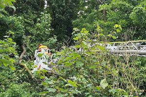Wetter - Ölflecken, Heimrauchmelder, Brandmeldealarm und Gefahrenbaum
