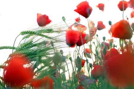 Die Bilder des Tages