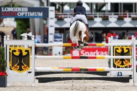 Die Bilder des Tages