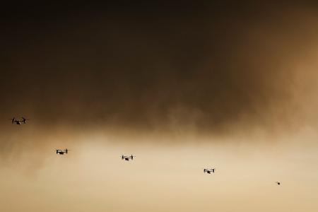 Die Bilder des Tages