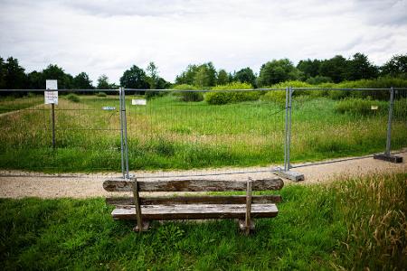 Keine Alligator-Lauer nötig. In Vechta wurde kein Alligator gesichtet. 