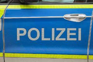 Großkatze im Süden Sachsen-Anhalts gesichtet