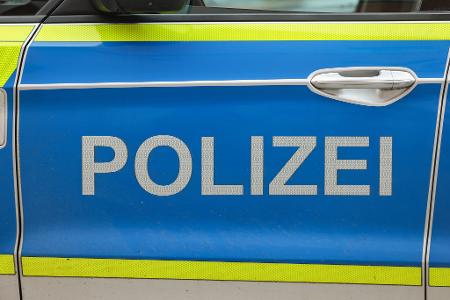 Großkatze im Süden Sachsen-Anhalts gesichtet