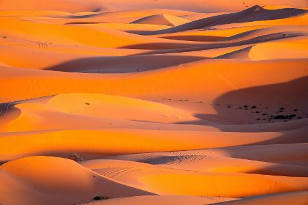 Gleichzeitig könnte eine weitere Hitzeglocke über der Sahara entstehen. Die Hitze würde Europa dann quasi einkeilen, so der Meteorologe weiter.
