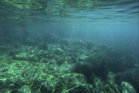 Der Grund: Die derzeitige Abkühlung des Meeres vor Westafrika – verursacht durch aufsteigendes kaltes Tiefenwasser – sorge dafür, …