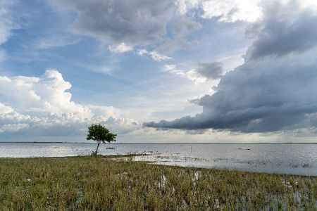 … dass sich der westafrikanische Monsun abschwächt. Dies führe wiederum zu weniger Verdunstung und Wolkenbildung, so Schenk.