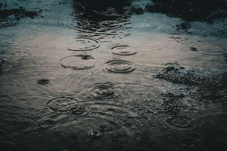 Die Prognosen bezüglich des Niederschlags seien stattdessen noch uneinheitlich. Dennoch deutet laut dem Experten alles darauf hin, dass uns nicht nur ein heißer, sondern auch ein trockener Sommer bevorsteht.