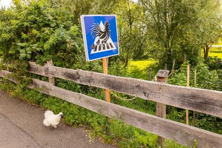 Die Bilder des Tages