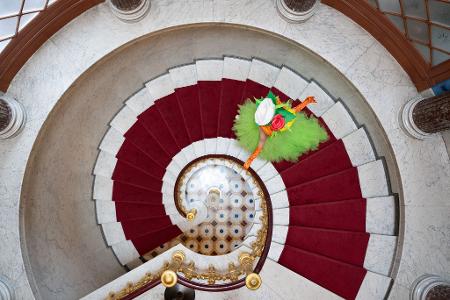 Die Bilder des Tages