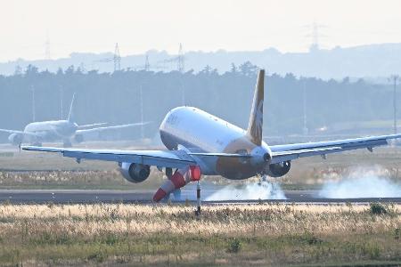 Ein Sonderflug hat 171 aus Israel ausgereiste Deutsche samt nächsten Angehörigen nach Frankfurt gebracht. Ein Sonderflug hat 171 aus Israel ausgereiste Deutsche samt nächsten Angehörigen nach Frankfurt gebracht.
