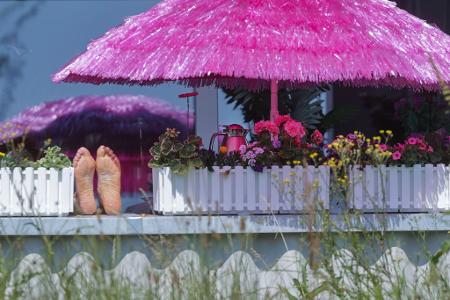 Die Bilder des Tages