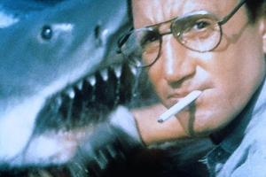 50 Jahre "Der Weiße Hai": Wie ein Kino-Schocker bis heute die Wirklichkeit verzerrt