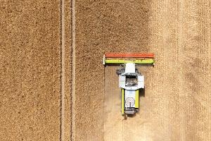 Landwirte hoffen auf durchschnittliche Ernte