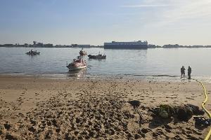 Vegetationsbrand auf der Elbinsel Pagensand - Aufwendiger Einsatz über Wasserwege