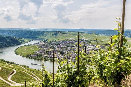 Das Schanz