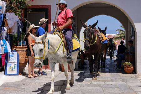 Gewichtiges Esel-Gebot auf Santorini