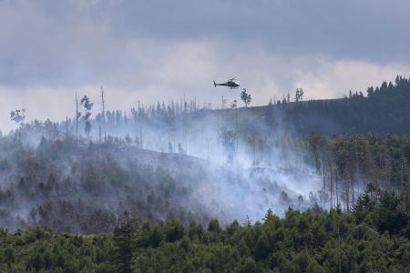 Rauchwolken bei Goslar: Hier wütet seit Sonntag ein Waldbrand.