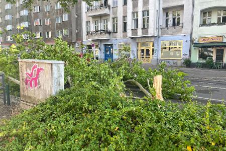 Windstärke 11 - so ein heftiger Wind ist in Berlin ungewöhnlich.