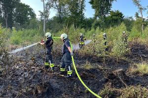 Waldbrand kann unter Kontrolle gebracht werden